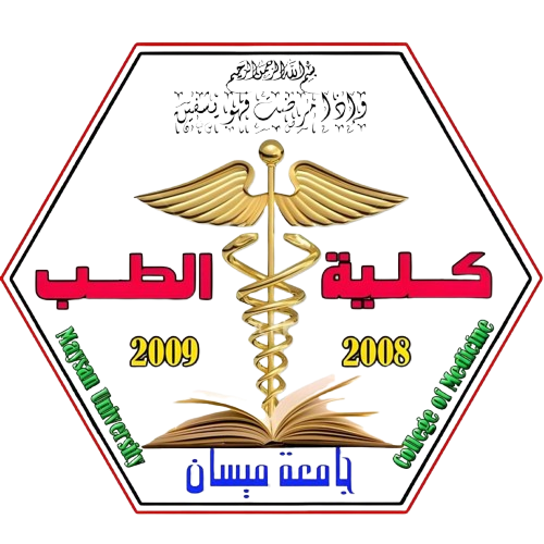 جامعة ميسان